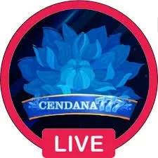 Aplikasi cendana777 Resmi dan Terpercaya di Android dan remi101: Rangkuman Brand yang Banyak Dicari